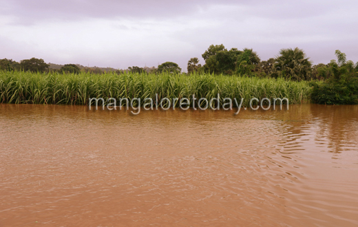 Moodushedde floods